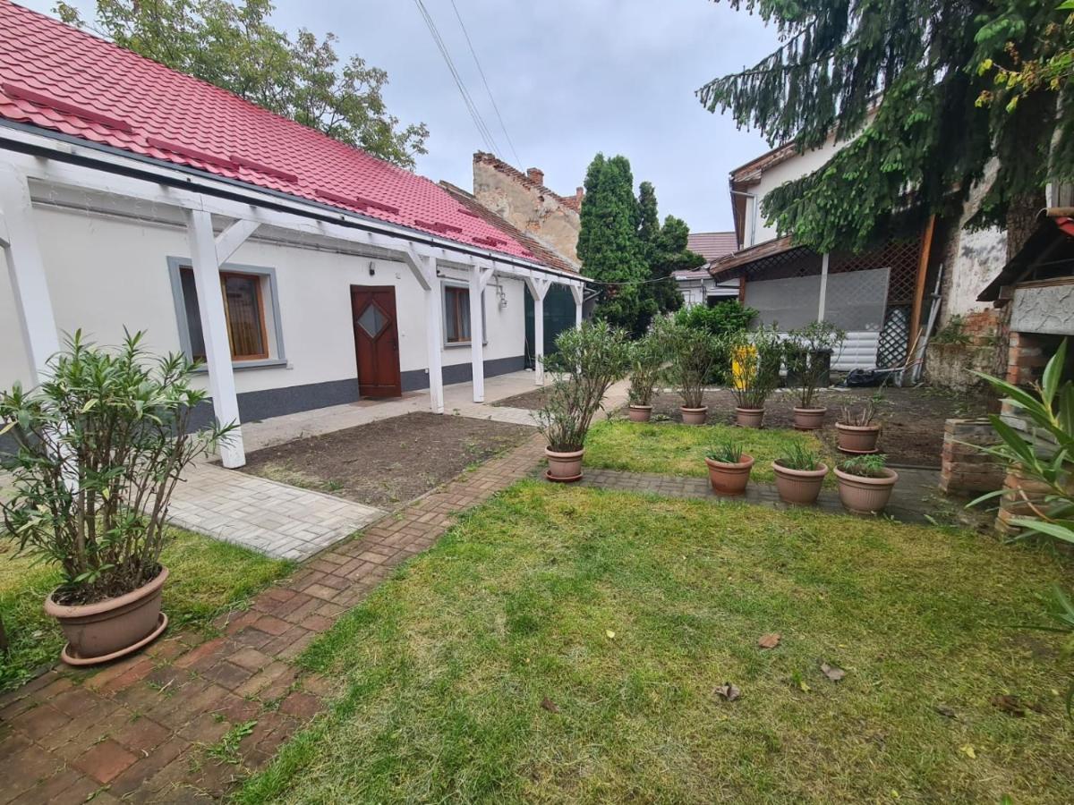 Peaceful&Central Apartment With Garden Târgu-Mureş Exterior foto